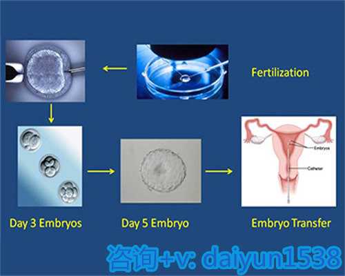 北京供卵代生男孩，北京试管婴儿什么时候纳入医保？