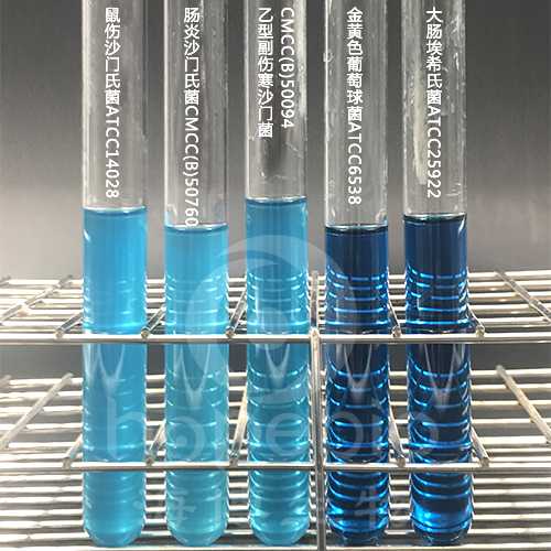 北京包成功助孕,北京单身未婚生子,北京80万剩女为何没人要