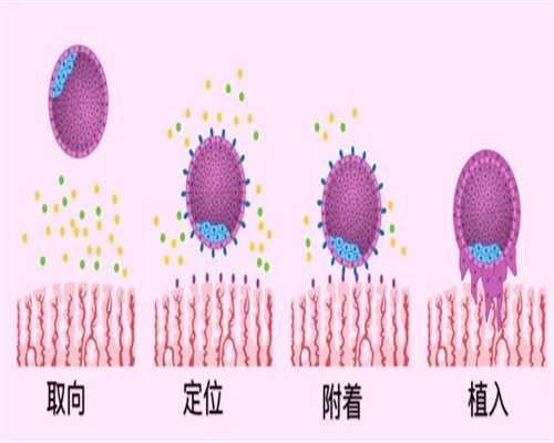 北京哪里有供卵机构，力拓生育新天地